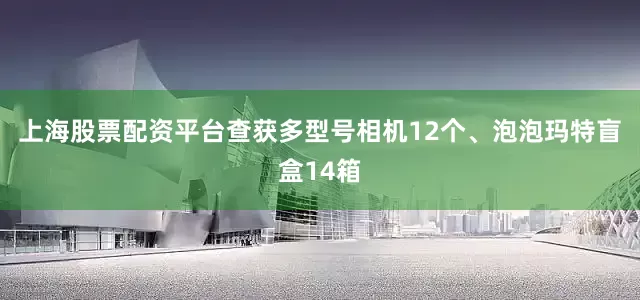 上海股票配资平台查获多型号相机12个、泡泡玛特盲盒14箱