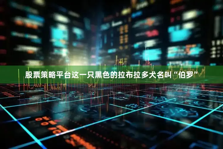 股票策略平台这一只黑色的拉布拉多犬名叫“伯罗”